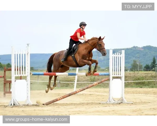 极限跑酷：跨越障碍的流畅艺术